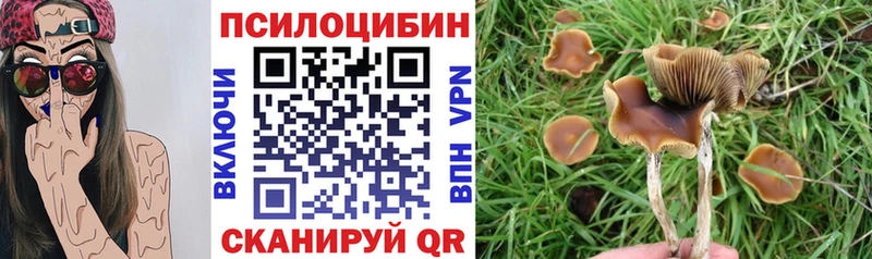 Псилоцибиновые грибы прущие грибы  kraken ссылки  Староминская  где купить наркоту 